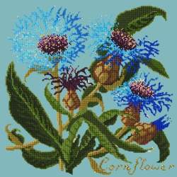 Elizabeth Bradley, Botanical Garden, CORNFLOWER - 16x16 pollici Elizabeth Bradley - 15