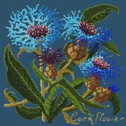 Elizabeth Bradley, Botanical Garden, CORNFLOWER - 16x16 pollici Elizabeth Bradley - 16