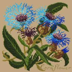 Elizabeth Bradley, Botanical Garden, CORNFLOWER - 16x16 pollici Elizabeth Bradley - 17