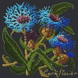 Elizabeth Bradley, Botanical Garden, CORNFLOWER - 16x16 pollici Elizabeth Bradley - 18