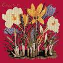 Elizabeth Bradley, Botanical Garden, CROCUS - 16x16 pollici Elizabeth Bradley - 4