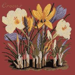 Elizabeth Bradley, Botanical Garden, CROCUS - 16x16 pollici Elizabeth Bradley - 5