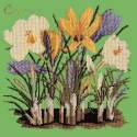 Elizabeth Bradley, Botanical Garden, CROCUS - 16x16 pollici Elizabeth Bradley - 7