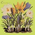 Elizabeth Bradley, Botanical Garden, CROCUS - 16x16 pollici Elizabeth Bradley - 8