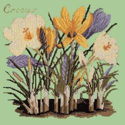 Elizabeth Bradley, Botanical Garden, CROCUS - 16x16 pollici Elizabeth Bradley - 9