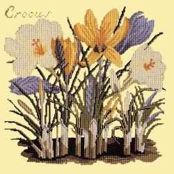 Elizabeth Bradley, Botanical Garden, CROCUS - 16x16 pollici Elizabeth Bradley - 10