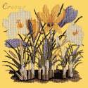 Elizabeth Bradley, Botanical Garden, CROCUS - 16x16 pollici Elizabeth Bradley - 11