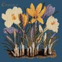 Elizabeth Bradley, Botanical Garden, CROCUS - 16x16 pollici Elizabeth Bradley - 16