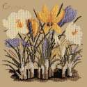 Elizabeth Bradley, Botanical Garden, CROCUS - 16x16 pollici Elizabeth Bradley - 17