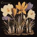 Elizabeth Bradley, Botanical Garden, CROCUS - 16x16 pollici Elizabeth Bradley - 18