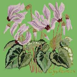 Elizabeth Bradley, Botanical Garden, CYCLAMEN - 16x16 pollici Elizabeth Bradley - 7