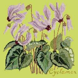 Elizabeth Bradley, Botanical Garden, CYCLAMEN - 16x16 pollici Elizabeth Bradley - 8