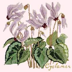 Elizabeth Bradley, Botanical Garden, CYCLAMEN - 16x16 pollici Elizabeth Bradley - 12