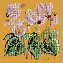 Elizabeth Bradley, Botanical Garden, CYCLAMEN - 16x16 pollici Elizabeth Bradley - 13