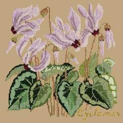 Elizabeth Bradley, Botanical Garden, CYCLAMEN - 16x16 pollici Elizabeth Bradley - 17