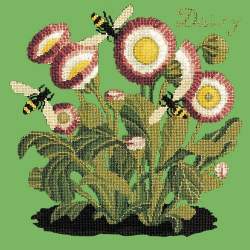 Elizabeth Bradley, Botanical Garden, DAISY - 16x16 pollici Elizabeth Bradley - 7